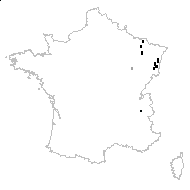 Vicilla pisiformis (L.) Schur - carte des observations