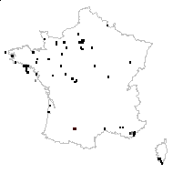 Franquevillia minima Gray - carte des observations