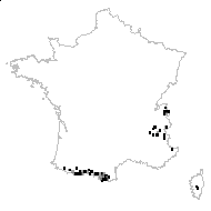 Gentiana acaulis subsp. alpina (Vill.) H.Marcailhou & Marcailhou - carte des observations