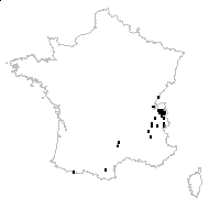 Gentiana acaulis subsp. clusii (E.P.Perrier & Songeon) Douin - carte des observations