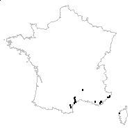 Aristolochia paucinervis Pomel - carte des observations