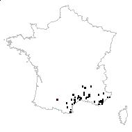 Aristolochia rotunda L. subsp. rotunda - carte des observations