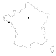 Erodium sabulicola Lange - carte des observations