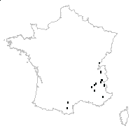 Anthyllis sp. - carte des observations