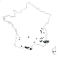 Ceterophyllitis sp. - carte des observations