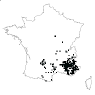 Astragalus sp. - carte des observations