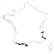 Satureja alpina subsp. meridionalis (Nyman) Greuter & Burdet - carte des observations