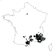 Lavandula officinalis Chaix - carte des observations