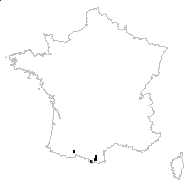 Lavandula angustifolia subsp. pyrenaica (DC.) Guinea - carte des observations