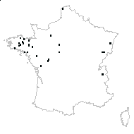 Micropyxis sp. - carte des observations