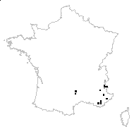 Salvia leuconeura Boiss. - carte des observations