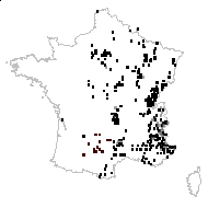 Astragalus clusii Pollini - carte des observations