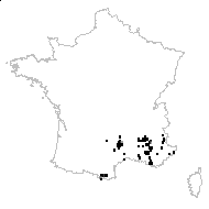 Achillea microphylla Willd. - carte des observations