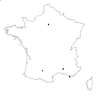 Abutilon pubescens Moench - carte des observations