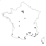 Mirabilis dichotoma Gaterau - carte des observations