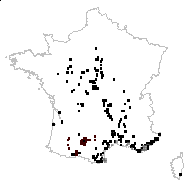 Andryala uniflora Schrank - carte des observations