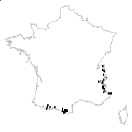 Gnaphalium alpinum Willd. - carte des observations