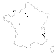 Phelipanche purpurea (Jacq.) Soják - carte des observations