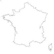 Pistolochia pumila (Host) Soják - carte des observations