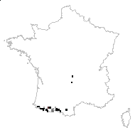 Papaver alpinum Lam. - carte des observations