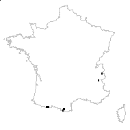 Papaver alpinum proles pyrenaicum sensu Rouy & Foucaud - carte des observations
