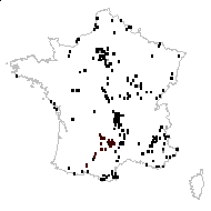 Papaver glaucioides Roux - carte des observations