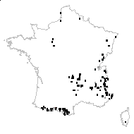 Pyrola montana Bubani - carte des observations