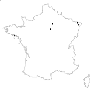 Armeria vulgaris Willd. - carte des observations