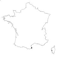 Statice delilei Aubouy - carte des observations