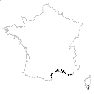 Statice virgata Willd. - carte des observations