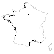 Statice longidentata Lafont - carte des observations