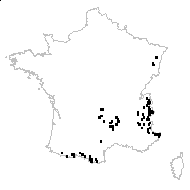 Arnica montana L. var. montana - carte des observations