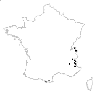 Androsace pubescens DC. - carte des observations
