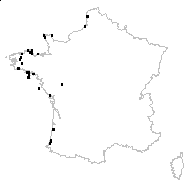 Silene uniflora Roth - carte des observations