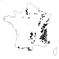Christophoriana vulgaris Bubani - carte des observations