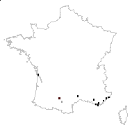 Anemone nobilis Jord. - carte des observations