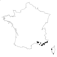 Anemone hortensis proles stellata (Lam.) Rouy & Foucaud - carte des observations