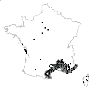 Clematis angustifolia Jacq. - carte des observations