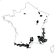 Anemone hepatica var. minor Rouy & Foucaud - carte des observations