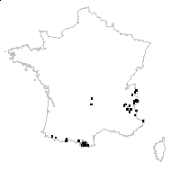 Anemone alpina subsp. apiifolia (Scop.) O.Bolòs & Vigo - carte des observations