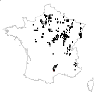 Anemone pulsatilla proles nigella (Jord.) Rouy & Foucaud - carte des observations