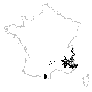 Ranunculus lapponicus Vill. - carte des observations