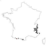 Ranunculus glacialis L. - carte des observations