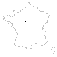 Barbarea vulgaris proles rivularis (Martrin-Donos) Rouy & Foucaud - carte des observations