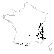 Ranunculus geraniifolius (Pourr.) Rouy & Foucaud - carte des observations