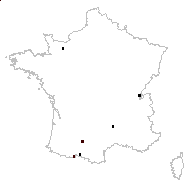 Ranunculus timbalii Mabille & Godefroy - carte des observations