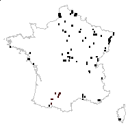 Ranunculus trichophylloides Humn. - carte des observations