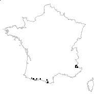 Thalictrum monoense Greene - carte des observations