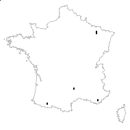 Thalictrum minus subsp. montanum proles schultzii (Jord.) Rouy & Foucaud - carte des observations