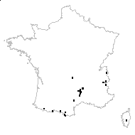 Alchemilla cantalica Gillot - carte des observations